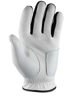 WILSON m rokavice za golf wgja00680 GRIP PLUS