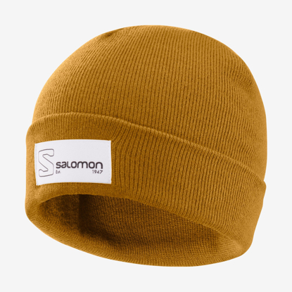 Picture of SALOMON kapa OUTLIFE LOGO Bronze Brown
