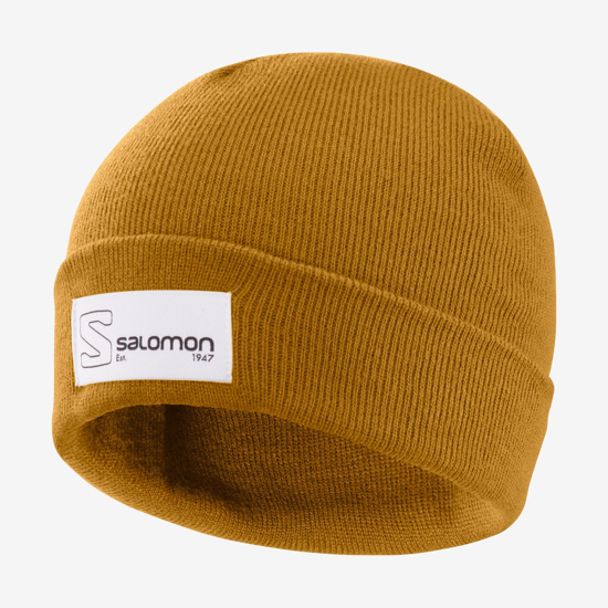 Picture of SALOMON kapa OUTLIFE LOGO Bronze Brown