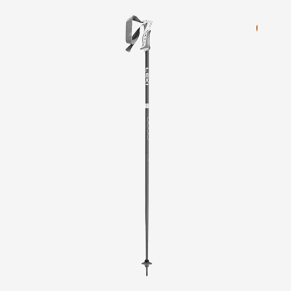 LEKI odr smučarske palice 65346502 BLISS gunmetal dark anthracite white