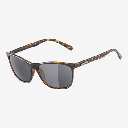 ALPINA sončna očala A8619 491 JAIDA havana black