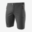 DYNAFIT m hlače 71322 0731 TRANSALPER LIGHT DYNASTRETCH SHORTS magnet