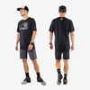 DYNAFIT m hlače 71322 0731 TRANSALPER LIGHT DYNASTRETCH SHORTS magnet